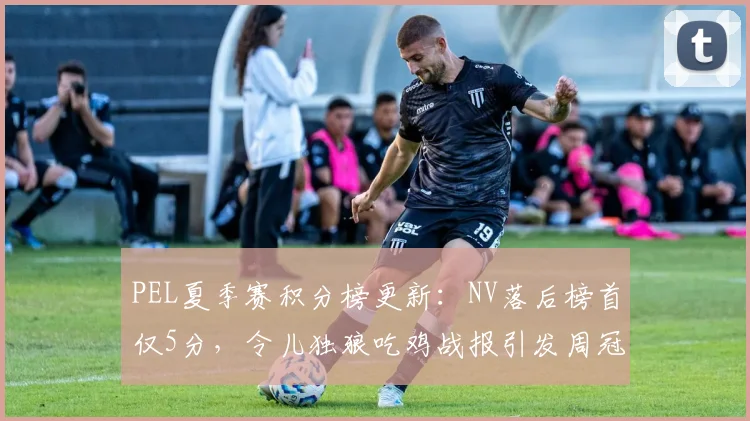 PEL夏季赛积分榜更新:NV落后榜首仅5分,令儿独狼吃鸡战报引发周冠争夺悬念__br_